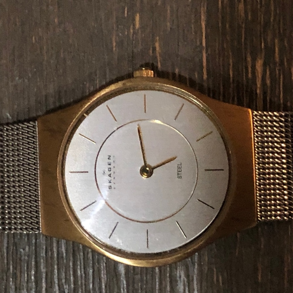 Skagen Two Tone Mesh Watch